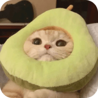 橘子视频APP应用